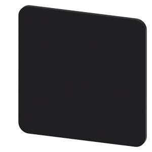 INSCR. PLATE, BLACK 27 X 27MM, BLANK