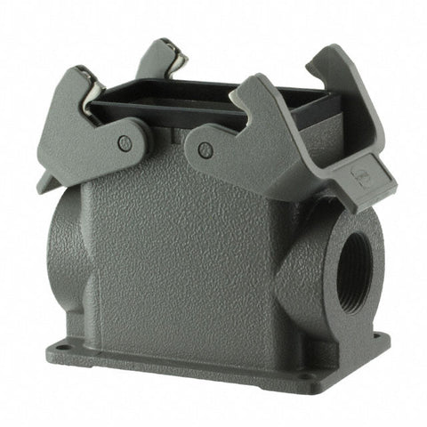 PG21 SIDE ENTRY HOOD 2 PEGS HC
