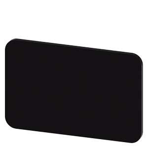 INSCR. PLATE, BLACK 17.5 X 27MM, BLANK